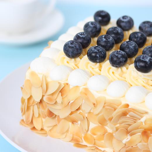 盐系·森林 - cake only专爱法式蛋糕