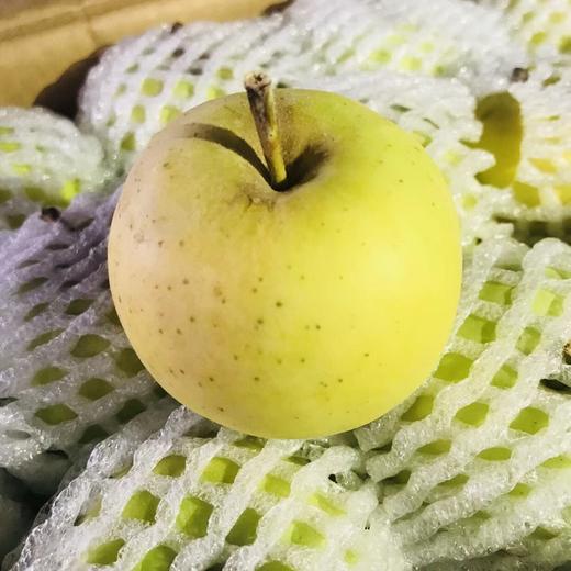 王林苹果 商品图1