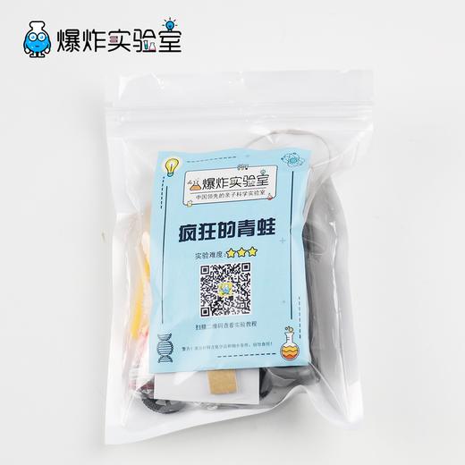 疯狂的青蛙 商品图3