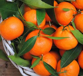沙糖桔（2斤）