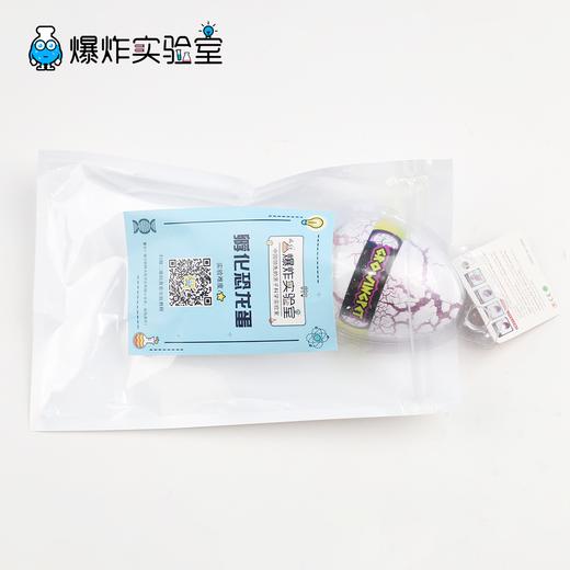 孵化恐龙蛋 商品图4