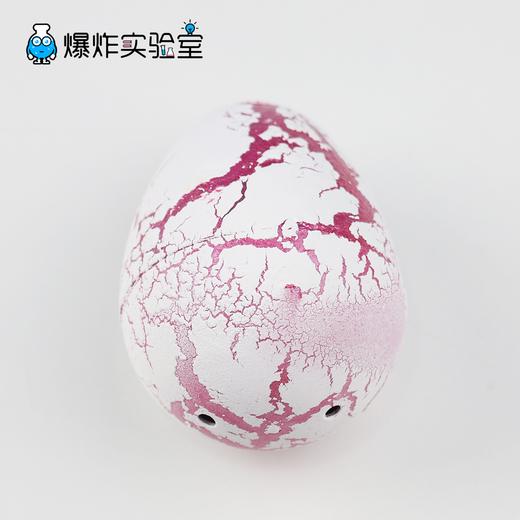 孵化恐龙蛋 商品图2