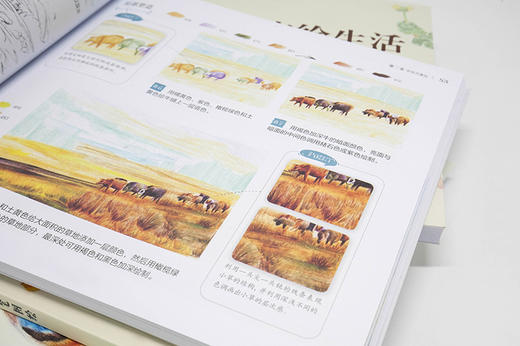 风景绘生活：24种绝美风景色铅笔图绘 商品图1