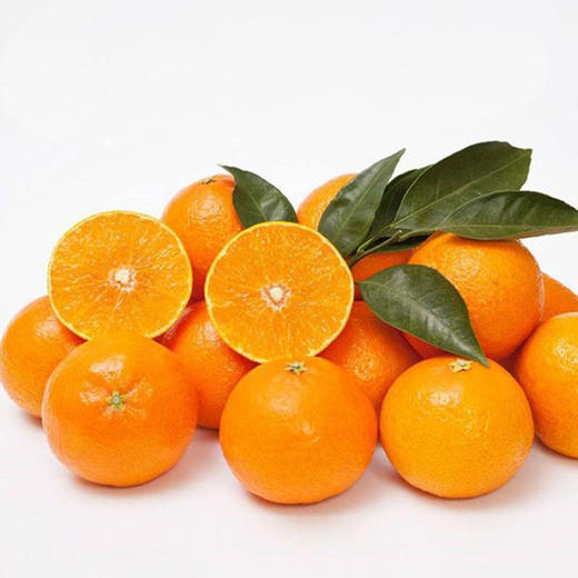 爱媛果冻橙5斤装（9-12枚） 商品图2