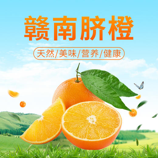 正宗赣南脐橙（20斤装） 商品图0
