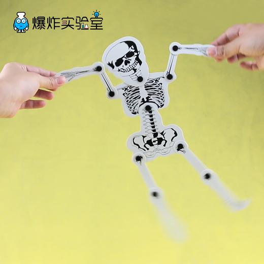 人的骨骼结构 商品图2