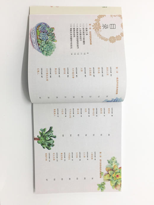 多肉绘生活：37种多肉植物色铅笔图绘 商品图3