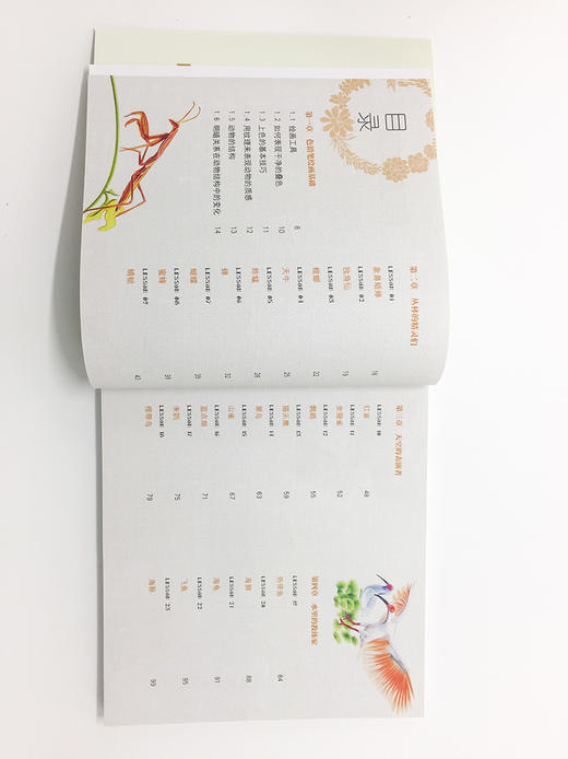 动物绘生活：38种动物色铅笔图绘 商品图1