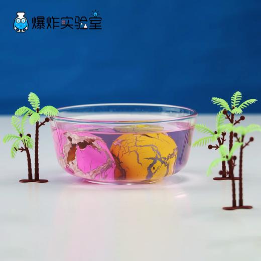孵化恐龙蛋 商品图3