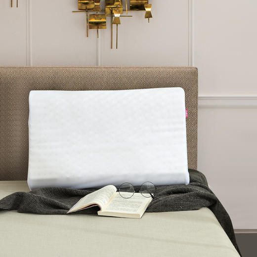 皇室泰国乳胶枕 商品图3