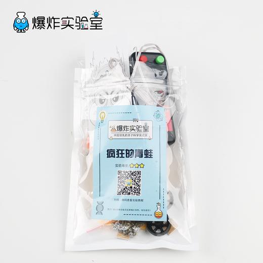 疯狂的青蛙 商品图4