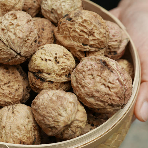 理山食集云南漾濞核桃丨不漂白原生态丨新品优惠