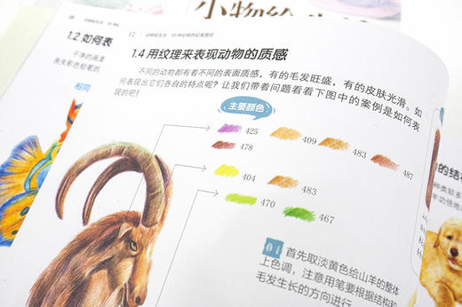 动物绘生活：38种动物色铅笔图绘 商品图4