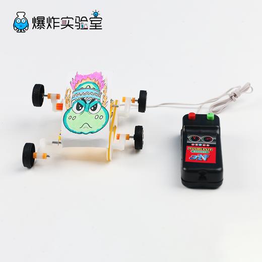 疯狂的青蛙 商品图1