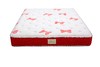 可爱米妮M5120床垫 (20CM) 商品缩略图0