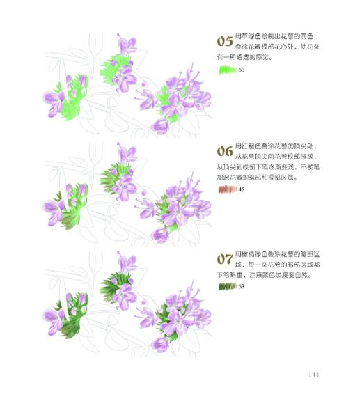 植物知道生命的答案：色铅笔花草私享课 商品图3