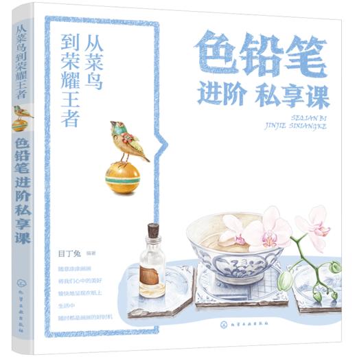从菜鸟到荣耀王者：色铅笔进阶私享课 商品图0