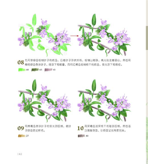 植物知道生命的答案 色铅笔花草私享课 化学工业出版社官方旗舰店