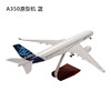 特尔博1:160空客A380客机 树脂仿真模型【内部镂空 声控灯光】丨南航 法航 马航 阿联酋航空 阿提哈德航空 商品缩略图14