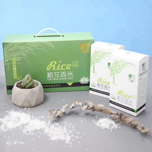 【2025新米上市】我师兄老家的正宗东北五常大米，稻花香2号，中国著名的优质大米产地，全国包邮 商品图5