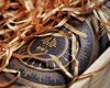 2016年份赤霞珠经典干红 商品缩略图2