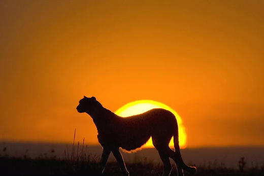 坦桑尼亚之旅｜定制 商品图0