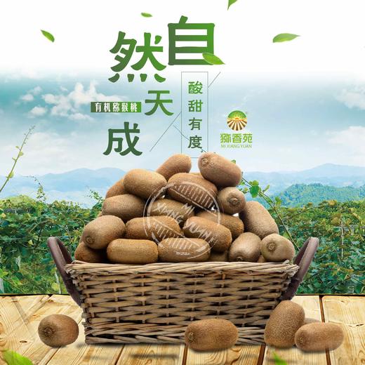 猕香苑修文贵长猕猴桃 有机地标猕猴桃精致礼盒装 单果60-70g黑色礼盒装18枚 商品图2