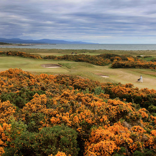 苏格兰皇家多诺赫高尔夫俱乐部 锦标赛场  Royal Dornoch Golf Club(Championship)| 英国高尔夫球场 俱乐部 | 欧洲高尔夫  | 世界百佳| 苏格兰 商品图2