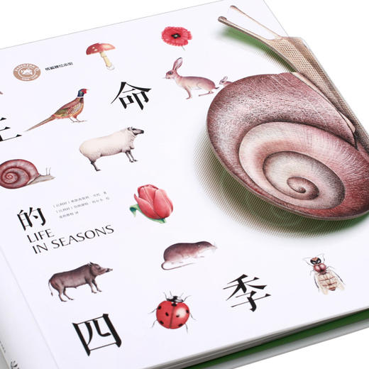 生命的四季 商品图0