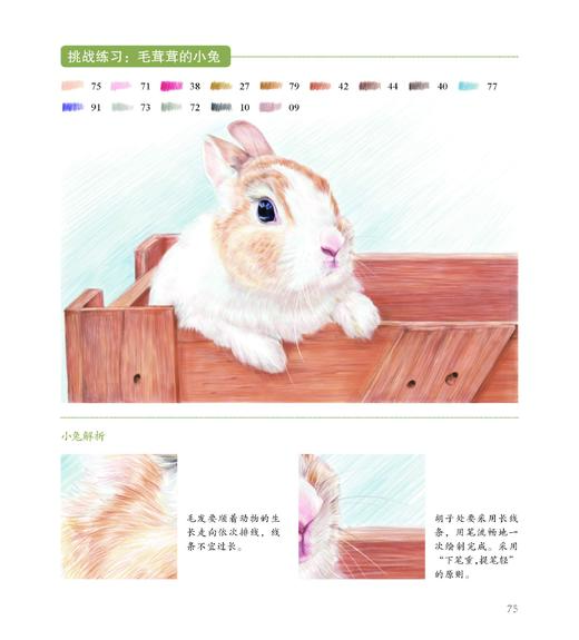 从菜鸟到荣耀王者：色铅笔进阶私享课 商品图2