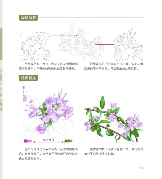 植物知道生命的答案 色铅笔花草私享课 化学工业出版社官方旗舰店