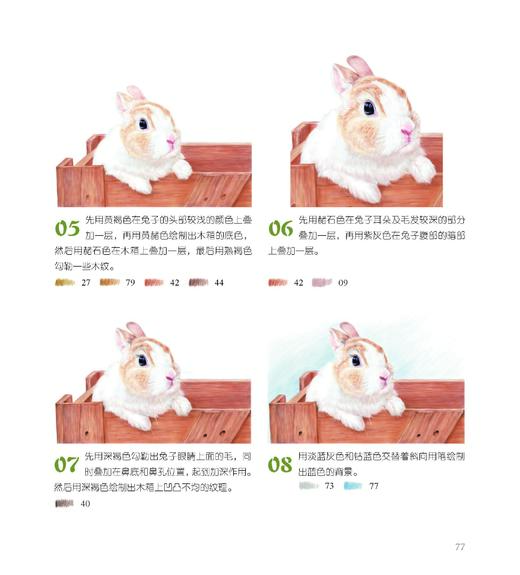 从菜鸟到荣耀王者：色铅笔进阶私享课 商品图3