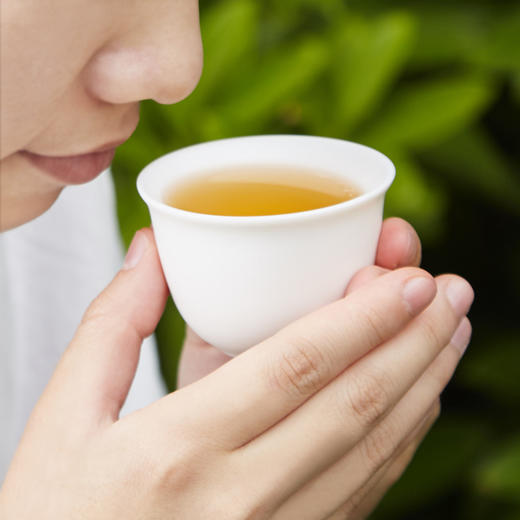 龙润丨茉莉香饼 茉莉生普 特色普洱茶 2015年 357g 商品图6