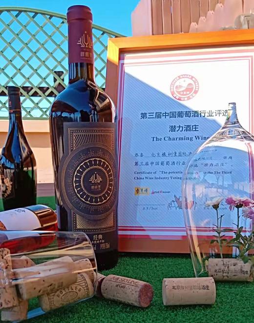 2016年份赤霞珠经典干红 商品图0