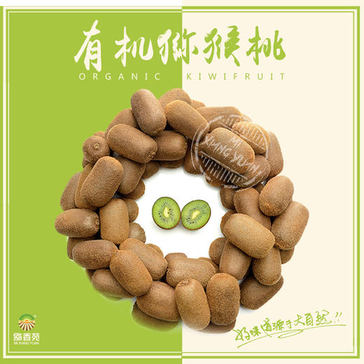 猕香苑修文贵长猕猴桃 有机地标猕猴桃精致礼盒装 单果60-70g黑色礼盒装18枚 商品图3