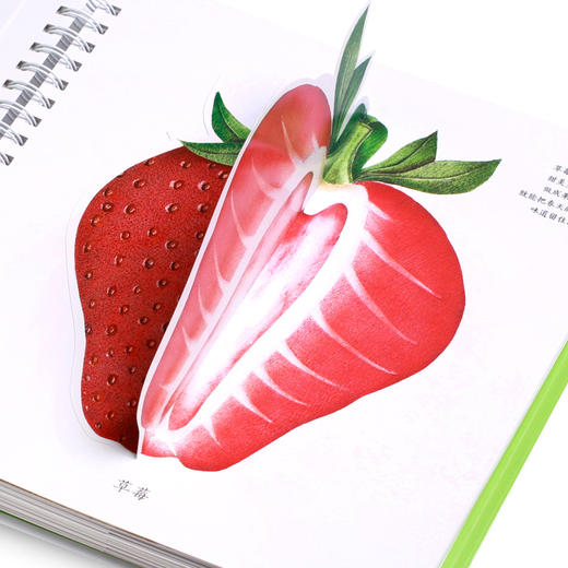 生命的四季 商品图2