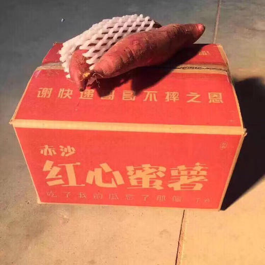 [最农公社]福建六鳌红薯沙地蜜薯带箱5斤小薯单果50-150g大薯单果150g起 商品图10