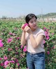 玫瑰花茶——半开花冠40g 商品缩略图4