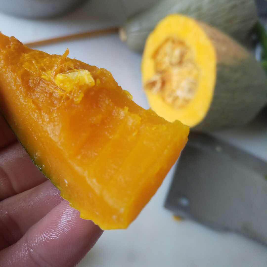 新疆金丝板栗南瓜野生南瓜原生态无污染板栗味儿好吃的吞舌头只需蒸一