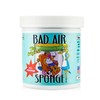 【新车新房专用】美国 Bad Air Sponge 甲醛空气净化剂 除异味 400g 商品缩略图0