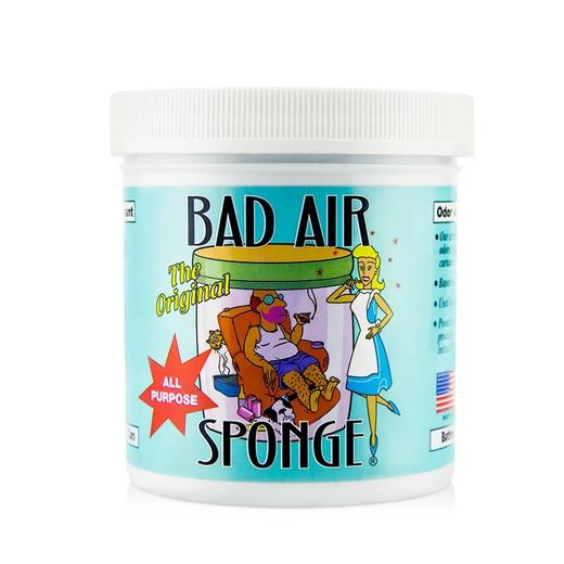 【新车新房专用】美国 Bad Air Sponge 甲醛空气净化剂 除异味 400g 商品图0