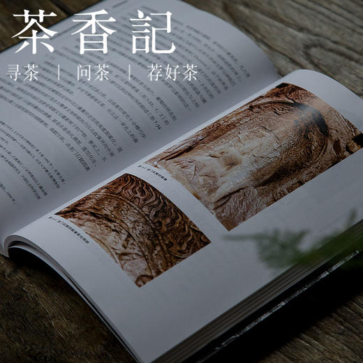 茶香记 《北朝装饰纹样》故宫出版社    五、六世纪石窟装饰纹样的考古研究 商品图4