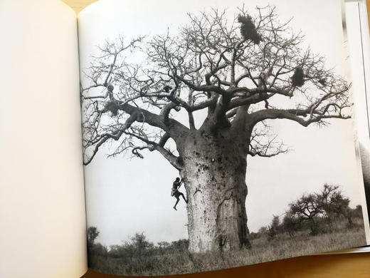 Africa 赫伯·里兹（Herb Ritts ）非洲摄影集 美国人像摄影大师/出版社Bulfinch Press/1994年 商品图6