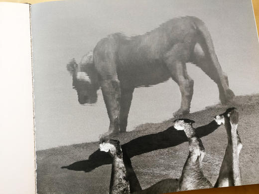 Africa 赫伯·里兹（Herb Ritts ）非洲摄影集 美国人像摄影大师/出版社Bulfinch Press/1994年 商品图1