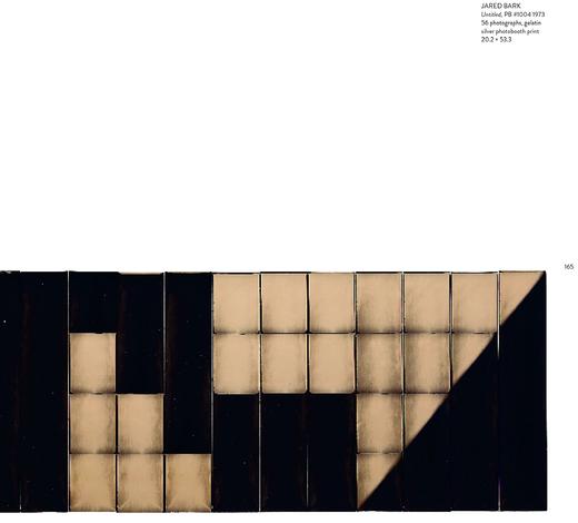 Shape of Light: 100 Years of Photography and Abstract Art 商品图6