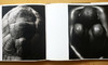 Africa 赫伯·里兹（Herb Ritts ）非洲摄影集 美国人像摄影大师/出版社Bulfinch Press/1994年 商品缩略图5