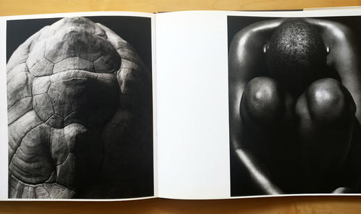 Africa 赫伯·里兹（Herb Ritts ）非洲摄影集 美国人像摄影大师/出版社Bulfinch Press/1994年 商品图5