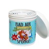 【新车新房专用】美国 Bad Air Sponge 甲醛空气净化剂 除异味 400g 商品缩略图1