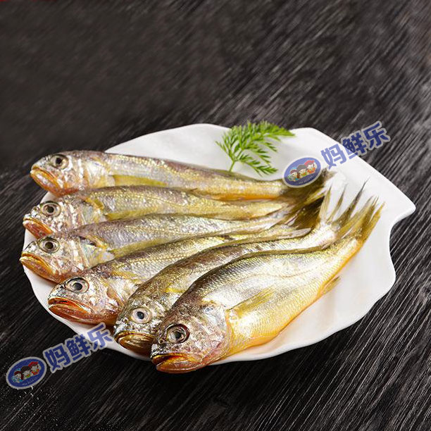 【野生小黄花鱼】 野生海捕，渔船每日捕捞而归，市场上买不到的纯野生小黄花鱼！