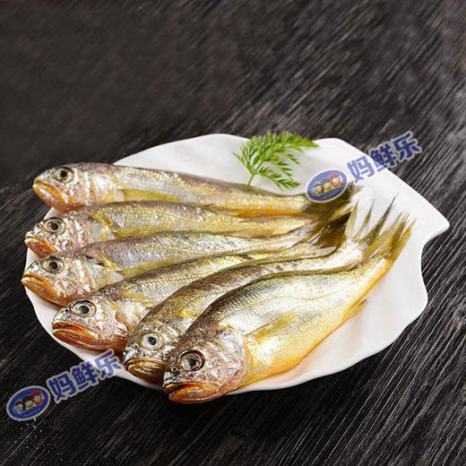 【野生小黄花鱼】 野生海捕，渔船每日捕捞而归，市场上买不到的纯野生小黄花鱼！ 商品图0